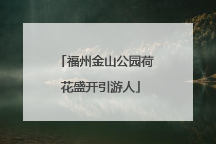 福州金山公园荷花盛开引游人