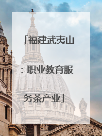 福建武夷山：职业教育服务茶产业