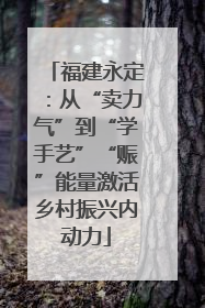 福建永定：从“卖力气”到“学手艺”“赈”能量激活乡村振兴内动力