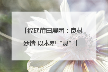 福建莆田展团：良材妙造 以木塑“灵”