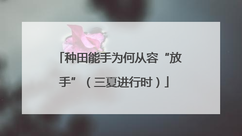 种田能手为何从容“放手”（三夏进行时）