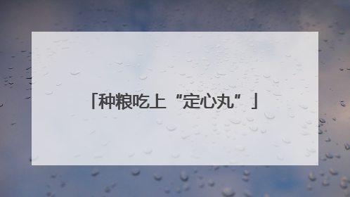 种粮吃上“定心丸”
