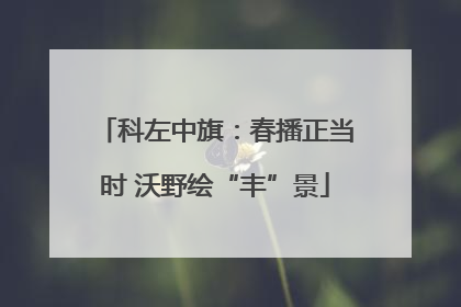 科左中旗：春播正当时 沃野绘“丰”景