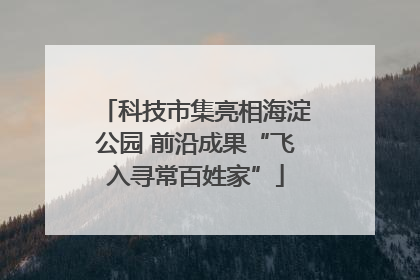 科技市集亮相海淀公园 前沿成果“飞入寻常百姓家”