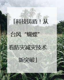 科技铸盾！从台风“蝴蝶” 看防灾减灾技术新突破