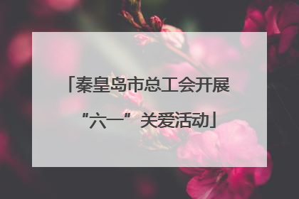 秦皇岛市总工会开展“六一”关爱活动