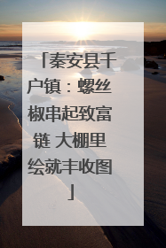 秦安县千户镇：螺丝椒串起致富链 大棚里绘就丰收图