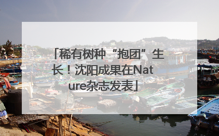 稀有树种“抱团”生长！沈阳成果在Nature杂志发表