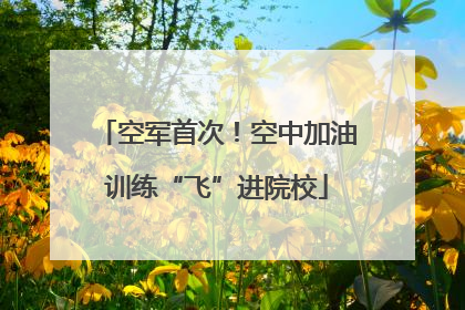 空军首次！空中加油训练“飞”进院校