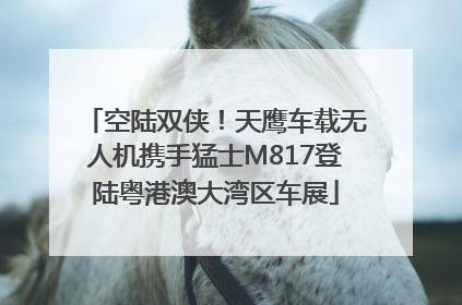 空陆双侠！天鹰车载无人机携手猛士M817登陆粤港澳大湾区车展