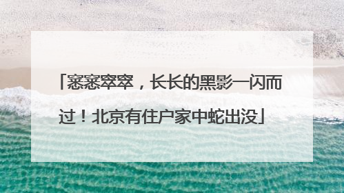 窸窸窣窣，长长的黑影一闪而过！北京有住户家中蛇出没