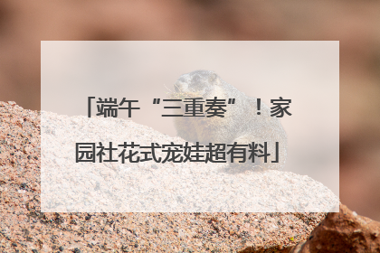 端午“三重奏”！家园社花式宠娃超有料