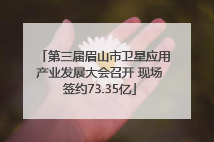 第三届眉山市卫星应用产业发展大会召开 现场签约73.35亿