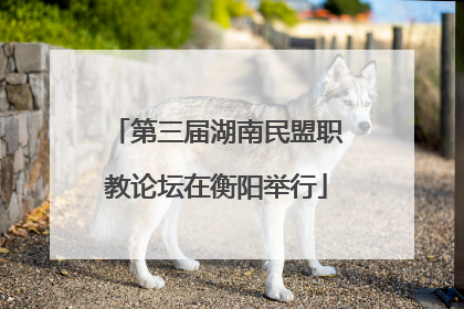 第三届湖南民盟职教论坛在衡阳举行