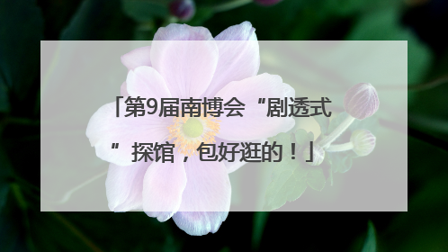 第9届南博会“剧透式”探馆，包好逛的！