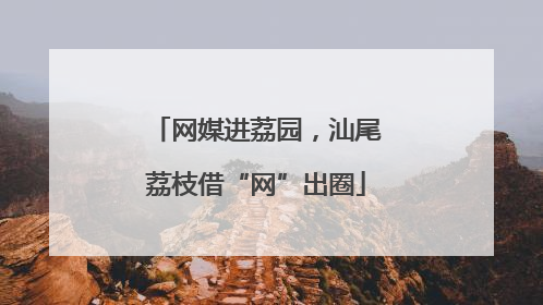 网媒进荔园，汕尾荔枝借“网”出圈
