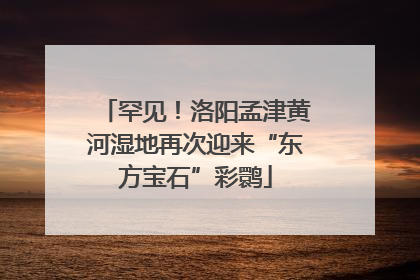 罕见！洛阳孟津黄河湿地再次迎来“东方宝石”彩鹮