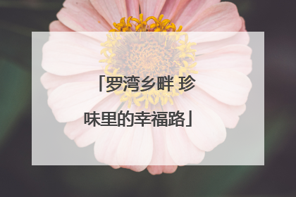 罗湾乡畔 珍味里的幸福路