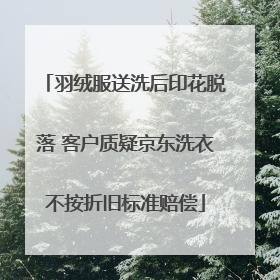 羽绒服送洗后印花脱落 客户质疑京东洗衣不按折旧标准赔偿