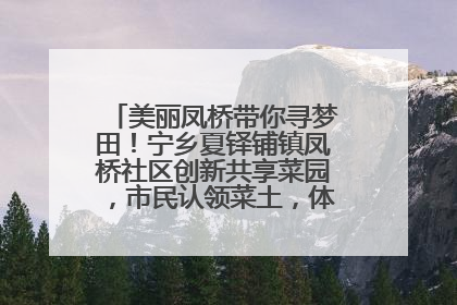 美丽凤桥带你寻梦田！宁乡夏铎铺镇凤桥社区创新共享菜园，市民认领菜土，体验耕种收获乐趣