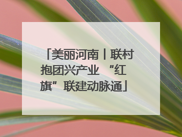 美丽河南丨联村抱团兴产业 “红旗”联建动脉通
