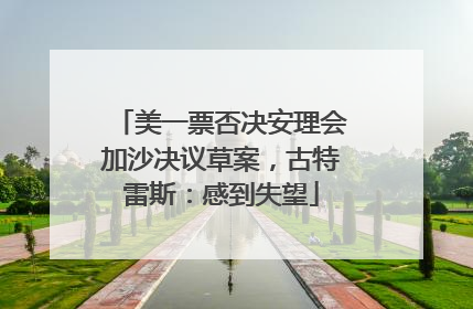 美一票否决安理会加沙决议草案，古特雷斯：感到失望