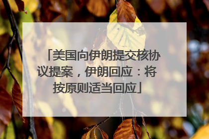 美国向伊朗提交核协议提案，伊朗回应：将按原则适当回应