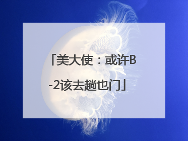 美大使：或许B-2该去趟也门