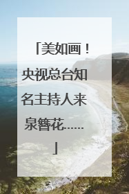 美如画！央视总台知名主持人来泉簪花……