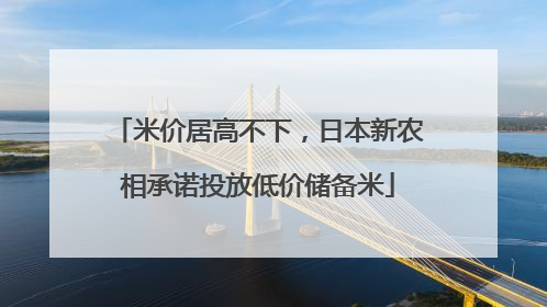 米价居高不下，日本新农相承诺投放低价储备米