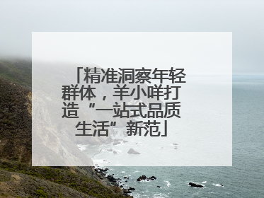 精准洞察年轻群体，羊小咩打造“一站式品质生活”新范