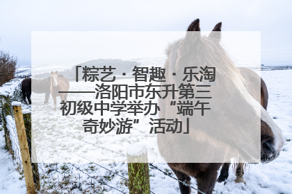 粽艺・智趣・乐淘——洛阳市东升第三初级中学举办“端午奇妙游”活动