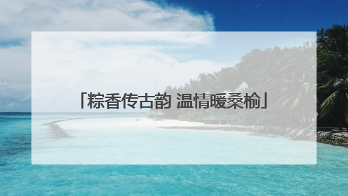 粽香传古韵 温情暖桑榆