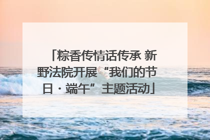 粽香传情话传承 新野法院开展“我们的节日・端午”主题活动