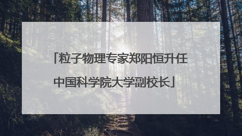 粒子物理专家郑阳恒升任中国科学院大学副校长