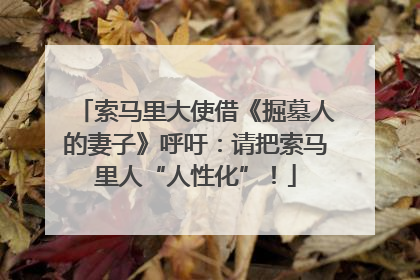 索马里大使借《掘墓人的妻子》呼吁：请把索马里人“人性化”！
