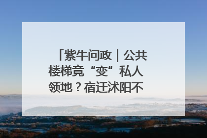 紫牛问政｜公共楼梯竟“变”私人领地？宿迁沭阳不动产登记引质疑