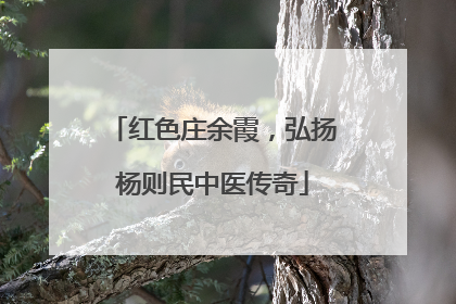 红色庄余霞，弘扬杨则民中医传奇