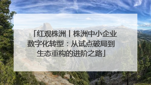 红观株洲丨株洲中小企业数字化转型：从试点破局到生态重构的进阶之路