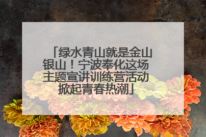 绿水青山就是金山银山！宁波奉化这场主题宣讲训练营活动掀起青春热潮