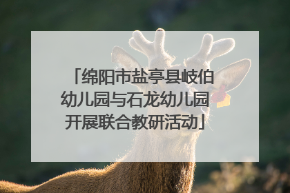 绵阳市盐亭县岐伯幼儿园与石龙幼儿园开展联合教研活动