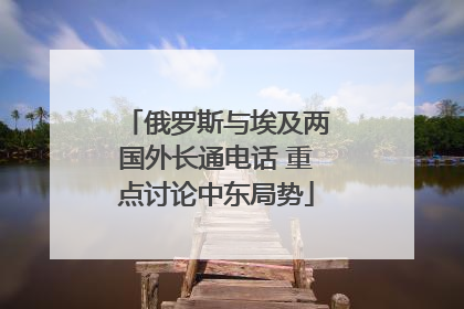 俄罗斯与埃及两国外长通电话 重点讨论中东局势