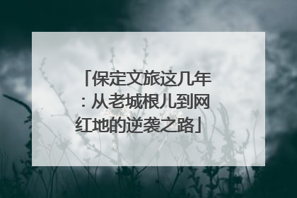 保定文旅这几年：从老城根儿到网红地的逆袭之路