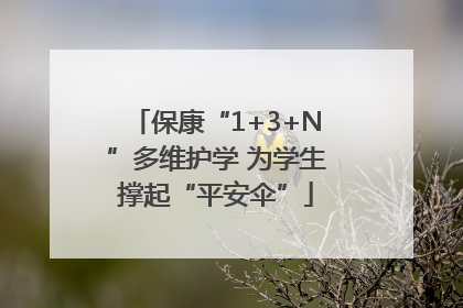 保康“1+3+N”多维护学 为学生撑起“平安伞”