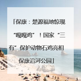 保康：楚源福地惊现“嘎嘎鸡”！国家“三有”保护动物石鸡亮相保康沿河公园