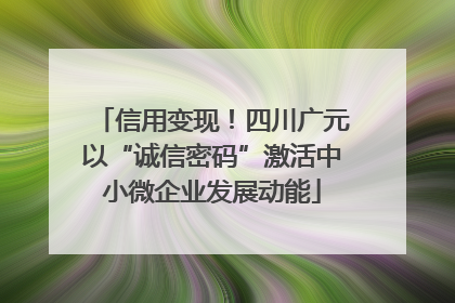 信用变现！四川广元以“诚信密码”激活中小微企业发展动能