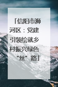 信阳市浉河区：党建引领绘就乡村振兴绿色“丝”路