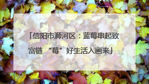 信阳市浉河区：蓝莓串起致富链 “莓”好生活入画来