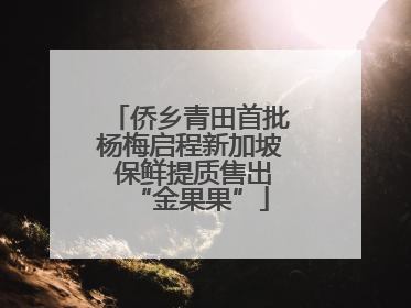 侨乡青田首批杨梅启程新加坡 保鲜提质售出“金果果”