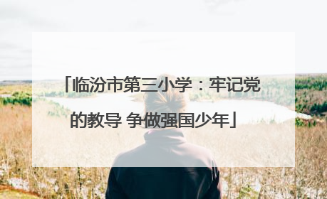 临汾市第三小学：牢记党的教导 争做强国少年